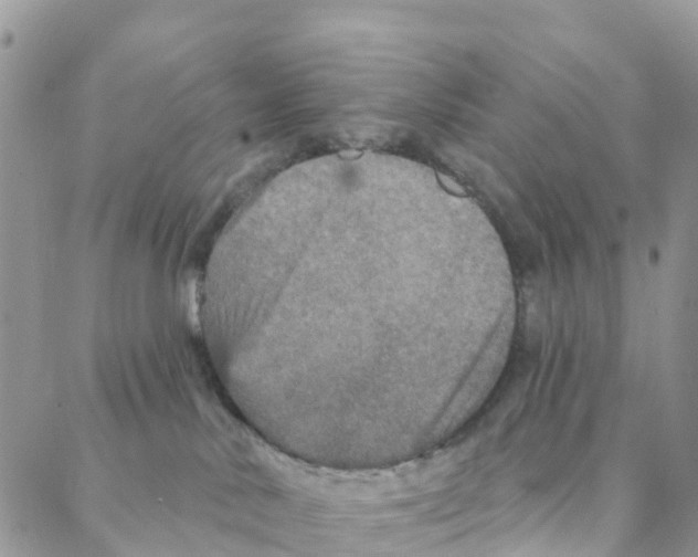 X0000088180042200706121702