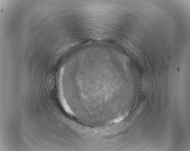 X0000088180043200706121702