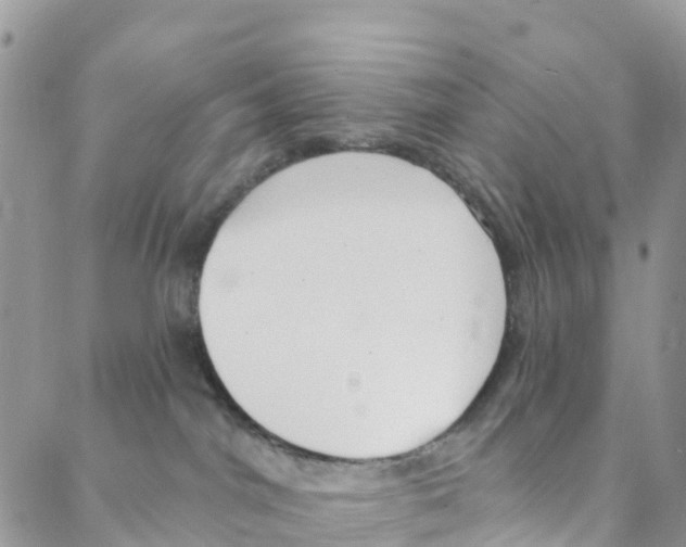 X0000088180044200706121702