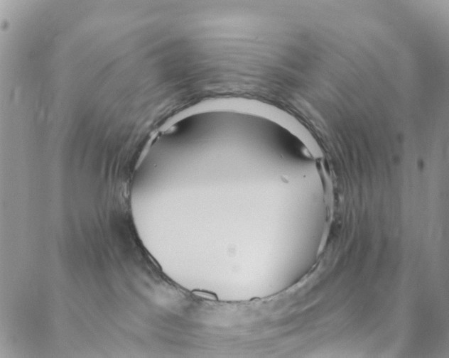 X0000088180045200706121702