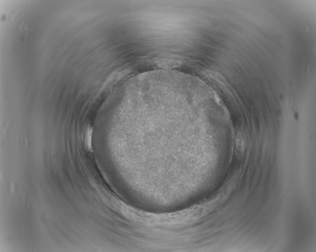 X0000088180046200706121702