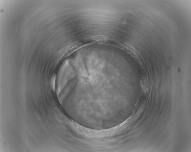 X0000088180047200706121702