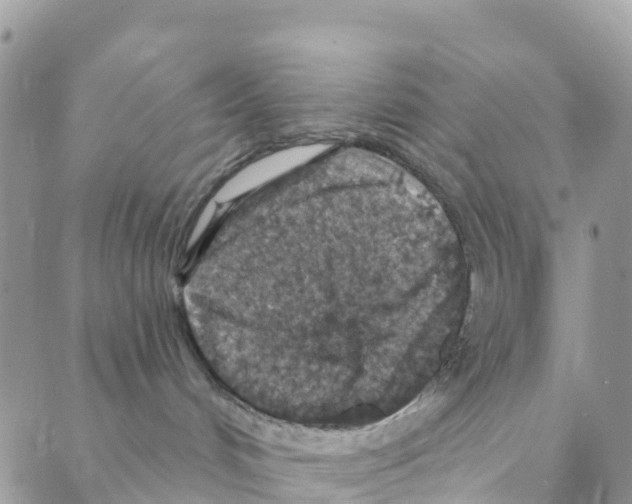 X0000088180048200706121702