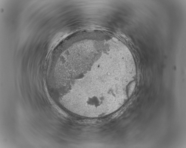 X0000088180049200706121701