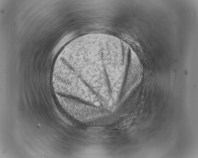 X0000088180051200706121701