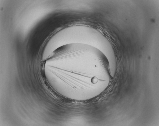 X0000088180052200706121701