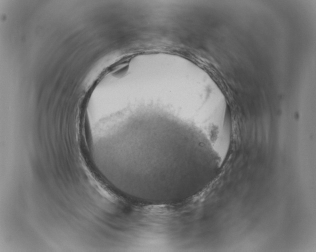 X0000088180054200706121701