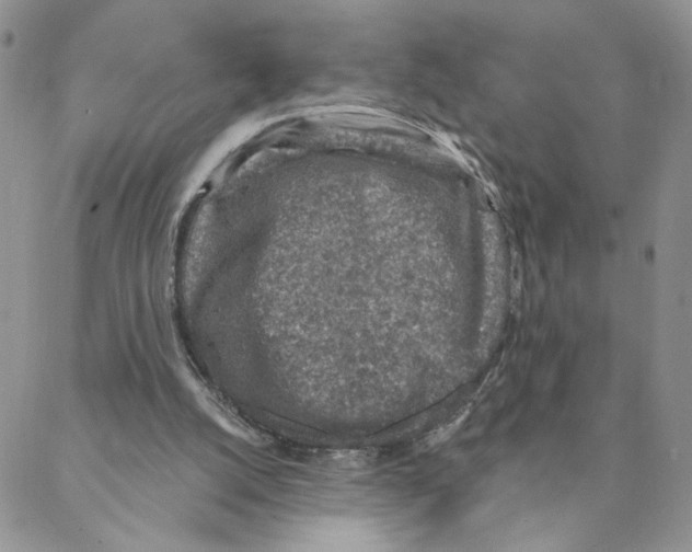 X0000088180056200706121701