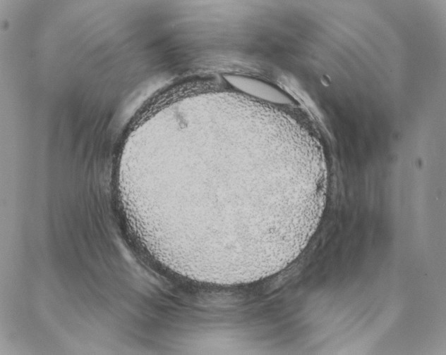 X0000088180058200706121701