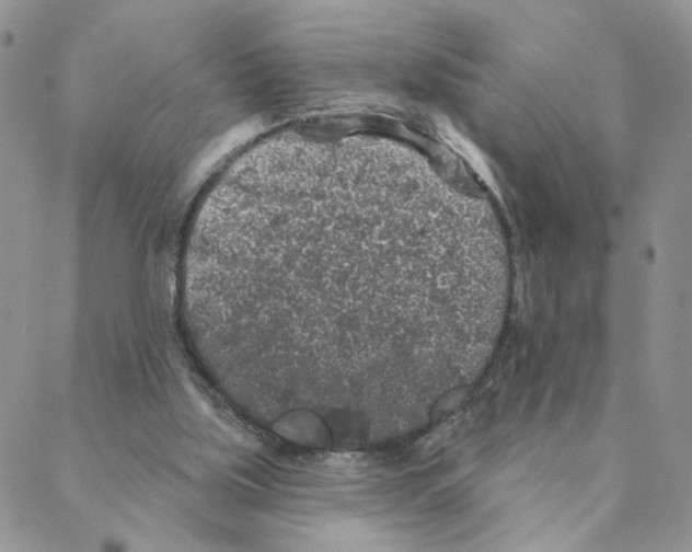 X0000088180059200706121701