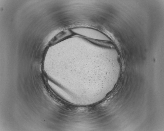 X0000088180060200706121701