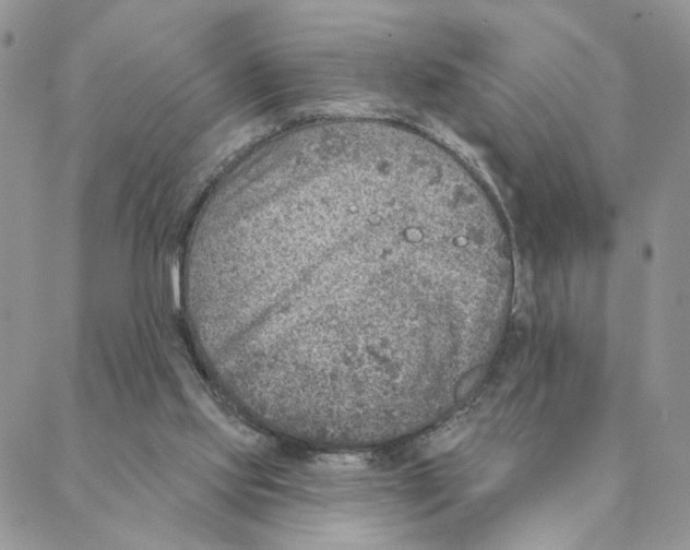 X0000088180061200706121701