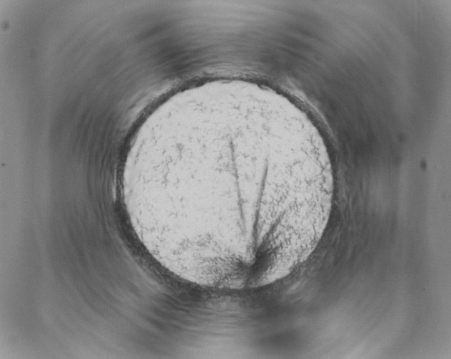 X0000088180062200706121701