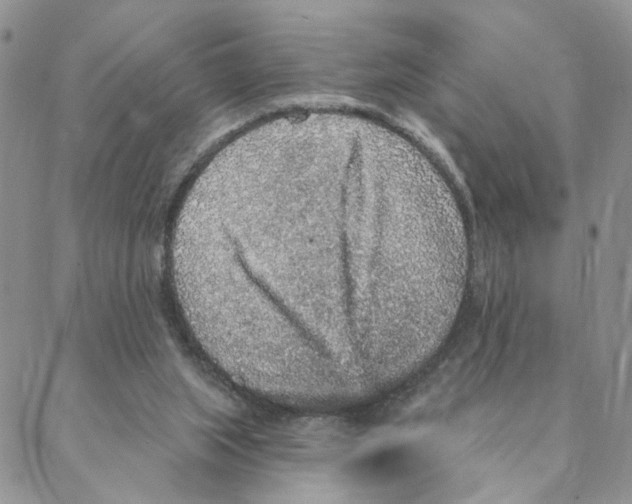 X0000088180063200706121701