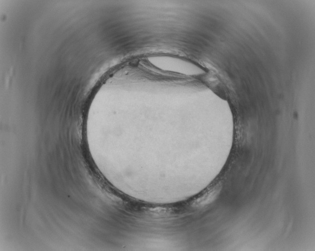 X0000088180064200706121701