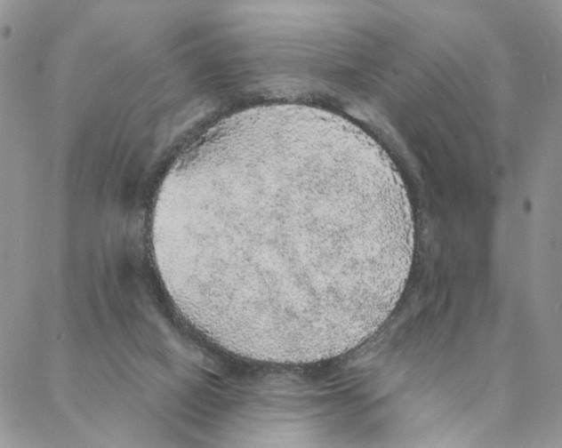 X0000088180066200706121701