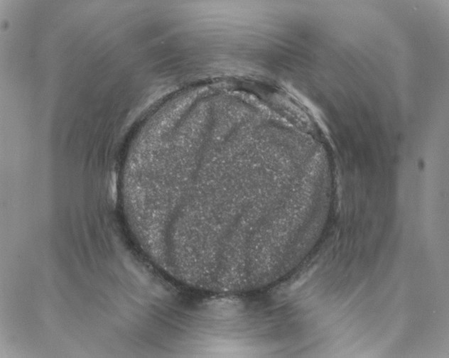 X0000088180067200706121701