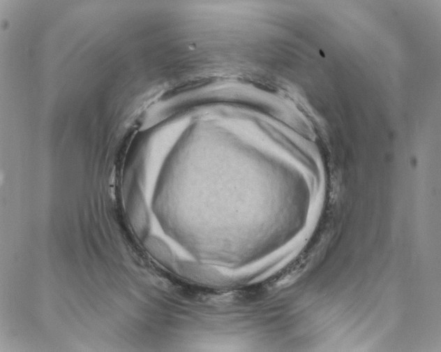 X0000088180068200706121701