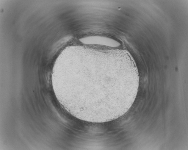 X0000088180070200706121701