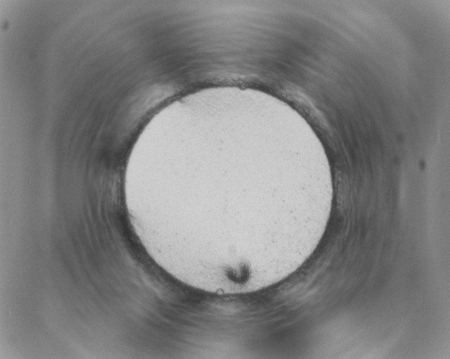 X0000088180071200706121701