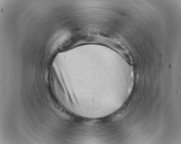 X0000088180072200706121701