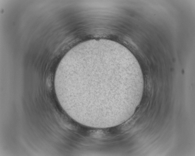 X0000088180074200706121701