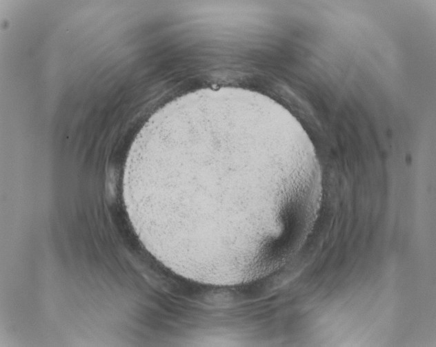 X0000088180075200706121701