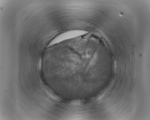 X0000088180076200706121701