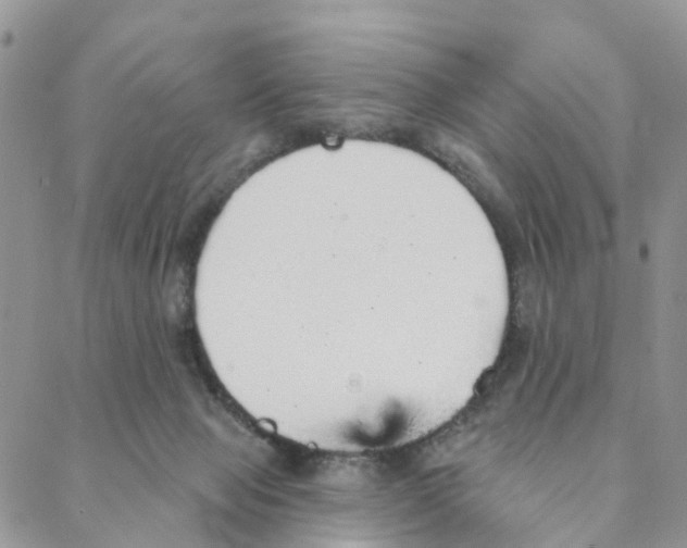 X0000088180077200706121701