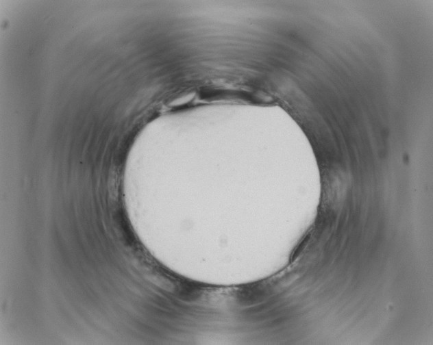 X0000088180078200706121701