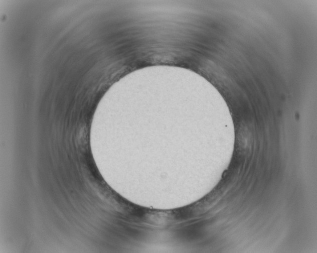 X0000088180079200706121701