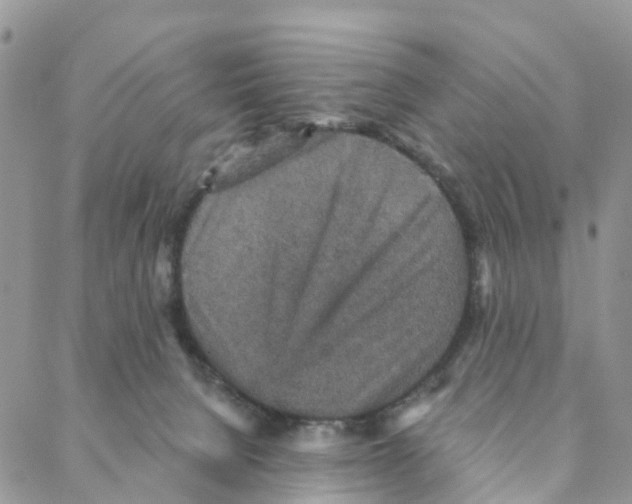 X0000088180080200706121701