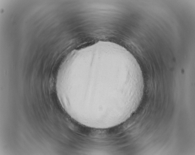 X0000088180081200706121701