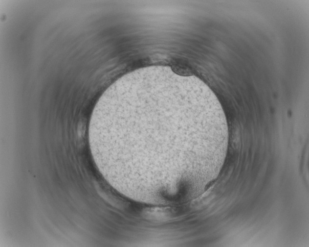 X0000088180082200706121701