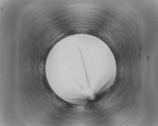 X0000088180083200706121701