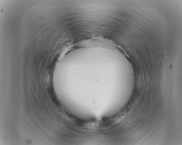 X0000088180084200706121701