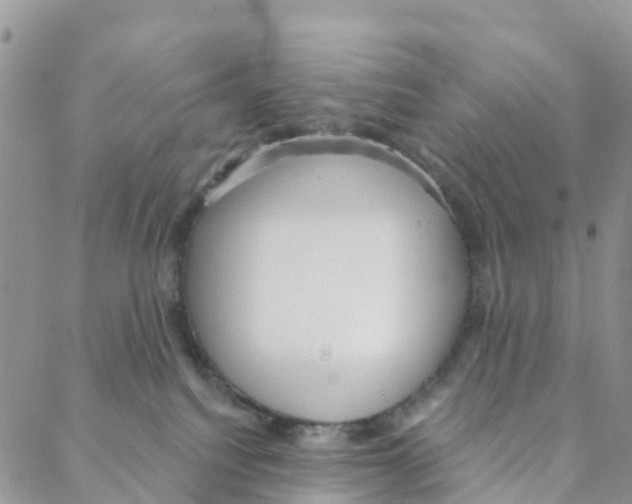 X0000088180088200706121701