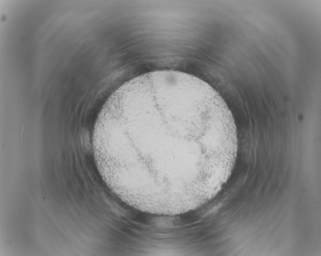 X0000088180089200706121701