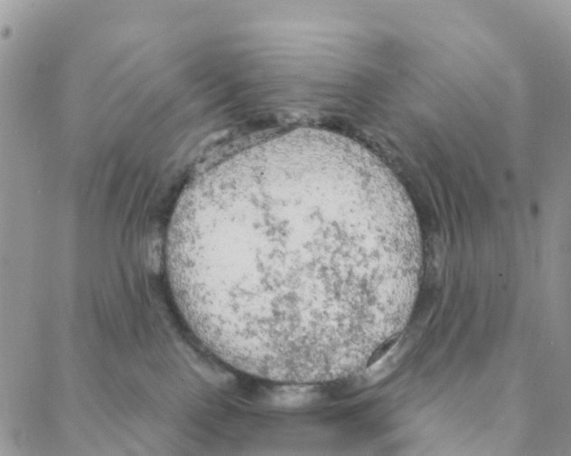 X0000088180090200706121701