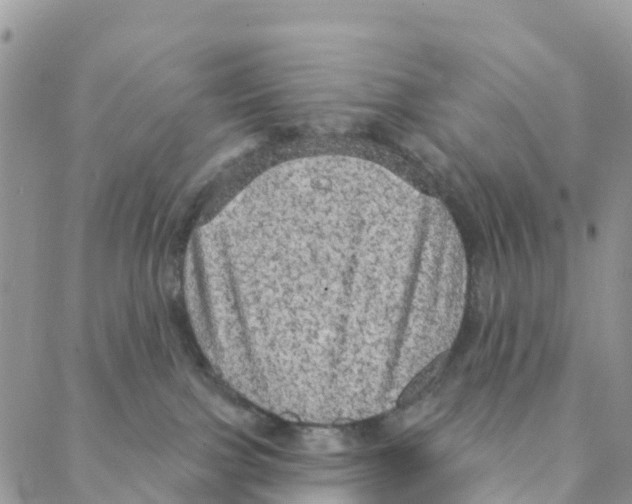 X0000088180091200706121701