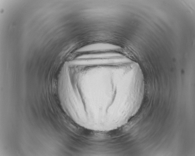 X0000088180093200706121702