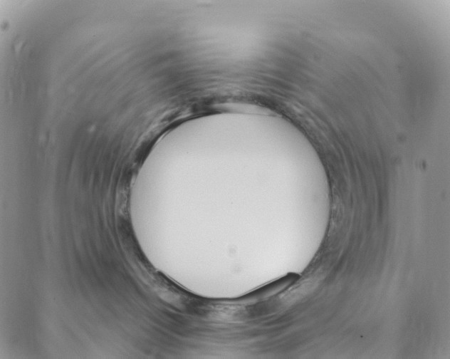 X0000088180096200706121702