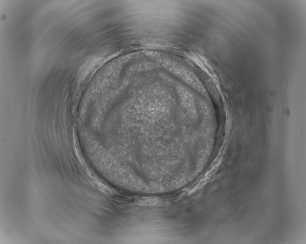 X0000088180097200706121701