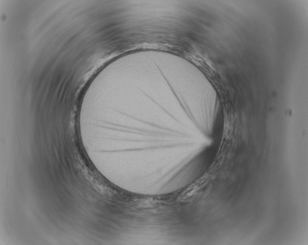 X0000088180098200706121701