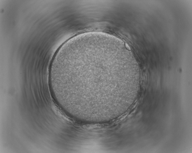 X0000088180100200706121701