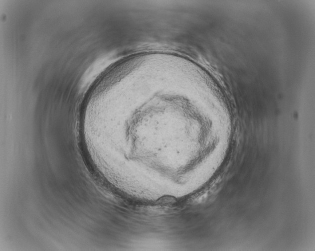 X0000088180103200706121701