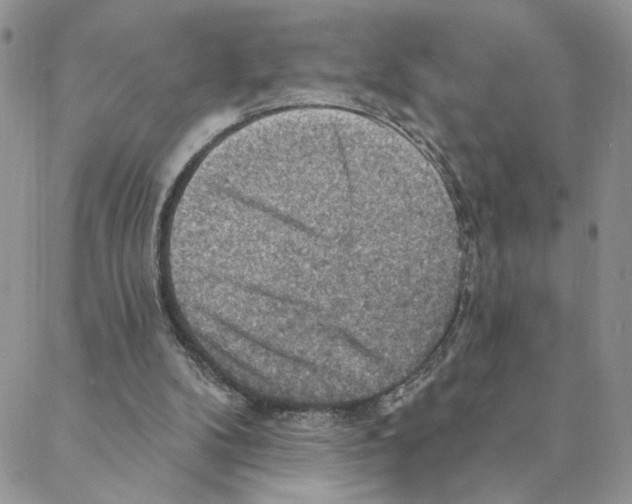 X0000088180104200706121701