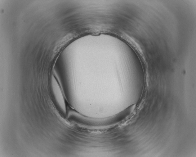 X0000088180105200706121701