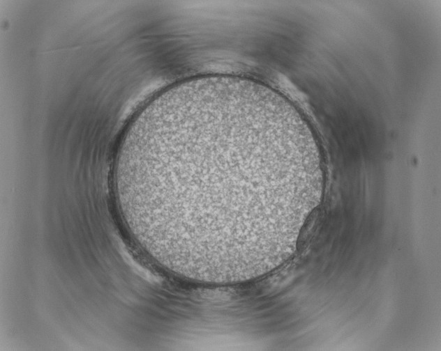 X0000088180106200706121701