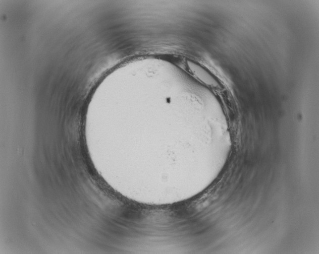 X0000088180107200706121701